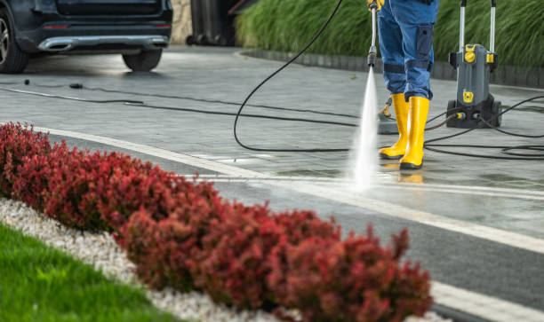 Best Solar Panel Cleaning  in Meadowbrook, VA